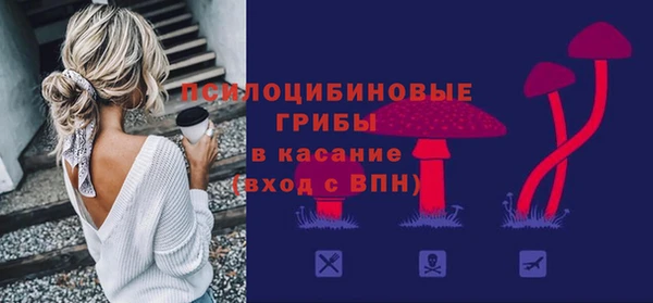 гашик Аркадак