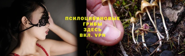 крисы Алексеевка