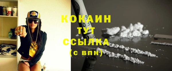 гашик Аркадак