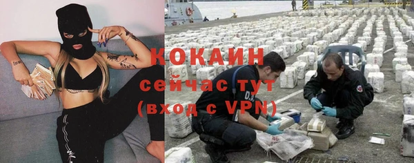 гашик Аркадак