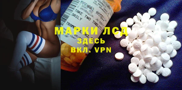 гашик Аркадак