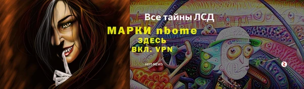 гашик Аркадак