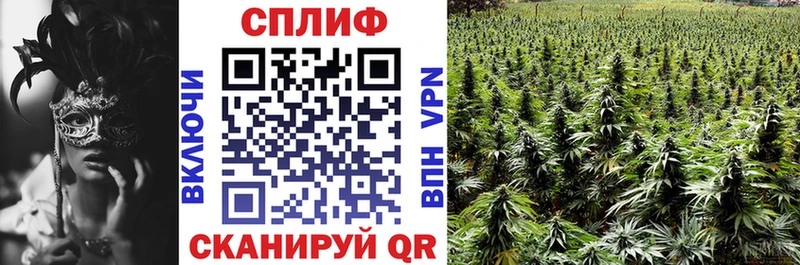Канабис SATIVA & INDICA Удомля